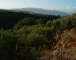 Działka na północy Krety z widokiem na morze i góry