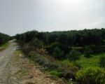 Działka 2,5 km od plaży - SPRZEDANA!